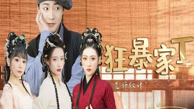 狂暴家丁 第21-40集