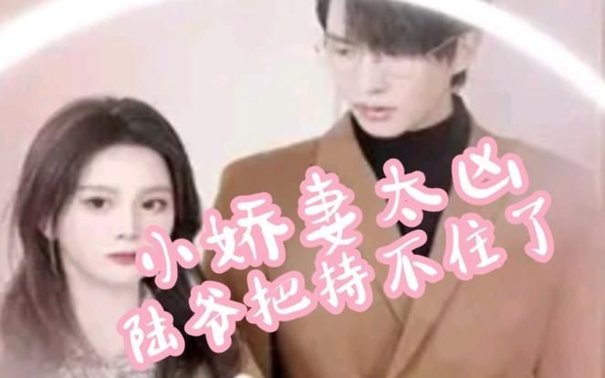 小娇妻太凶,陆爷把持不住了 第21-40集