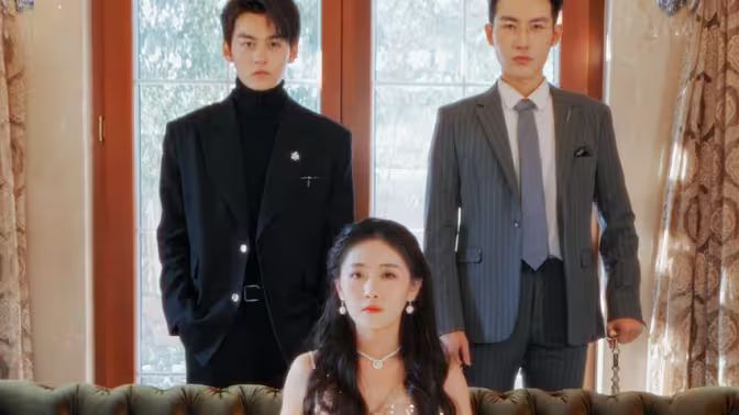 不要招惹舒小姐 41-60集