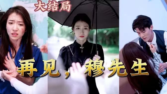 再见，穆先生 第41-60集