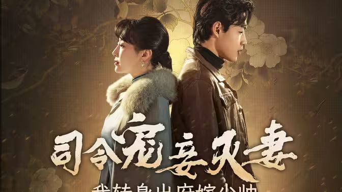 司令宠妾灭妻，我转身出府嫁少帅 全集(大结局)