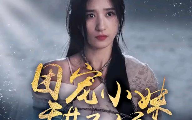 团宠小妹甜又娇 第41-60集