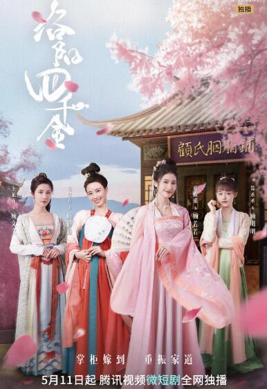 洛阳四千金 第30集