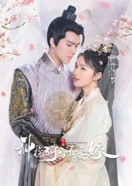 神探驸马请接嫁 第19集